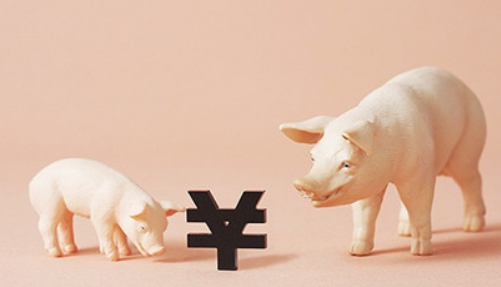 豬價(jià),觸底回落