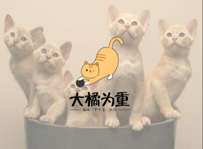 寵物經(jīng)濟(jì),市場趨勢,貓咖