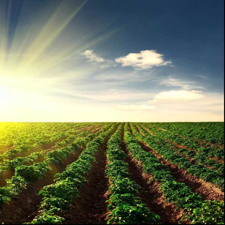 農(nóng)業(yè),創(chuàng)投