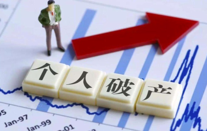 個人破產(chǎn),法院,債務(wù)