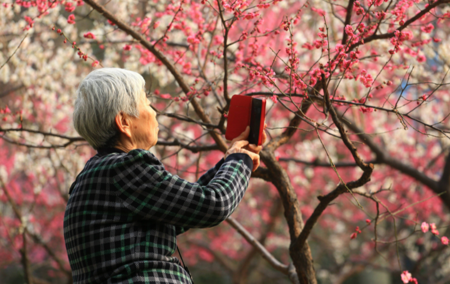 銀發(fā)經濟,直播網購,中老年人
