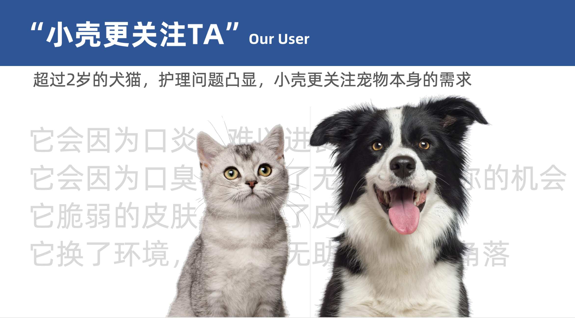 寵物經(jīng)濟(jì),寵物護(hù)理