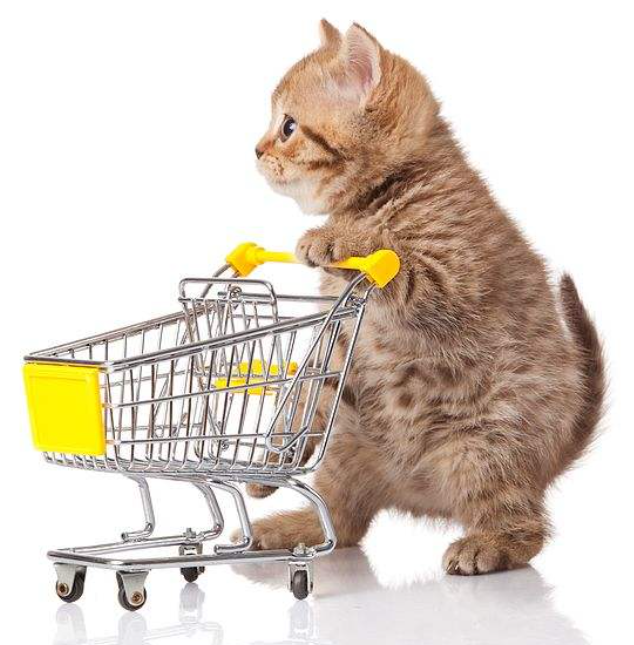 馬斯克,中國網(wǎng)紅,直播帶貨,美國