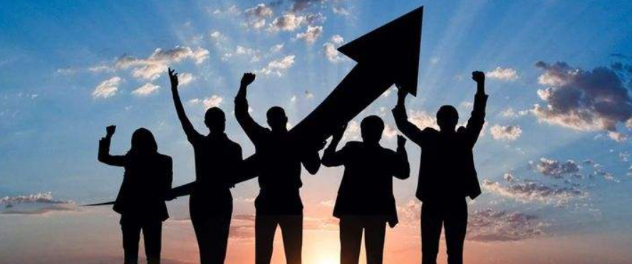 股權(quán)激勵,激勵數(shù)量,企業(yè)