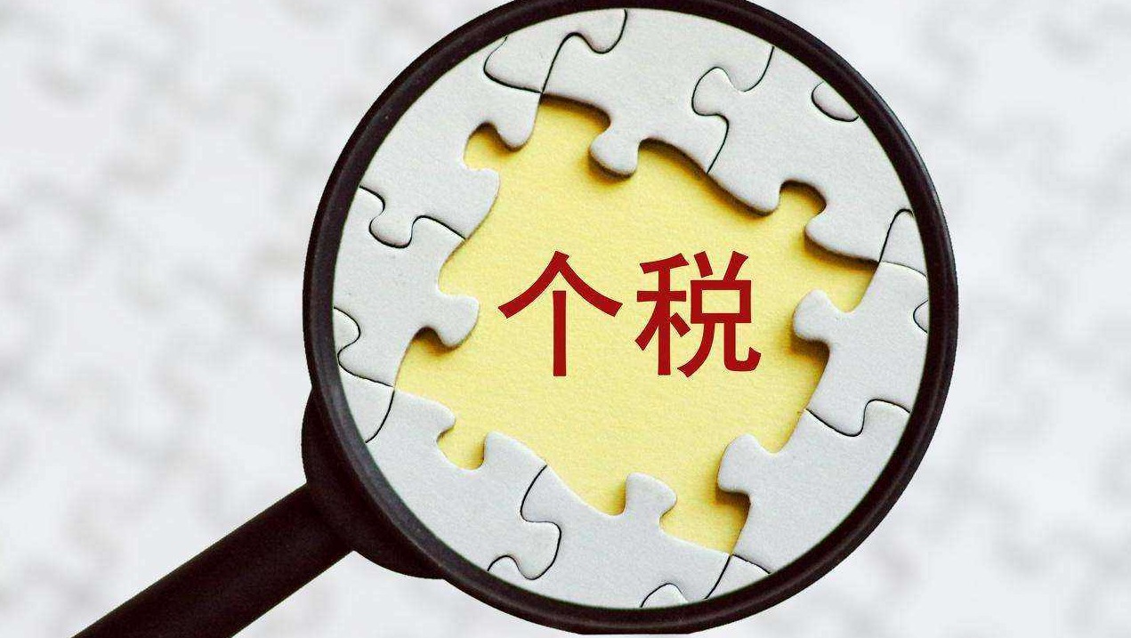 個人所得稅,納稅人,專項附加扣除