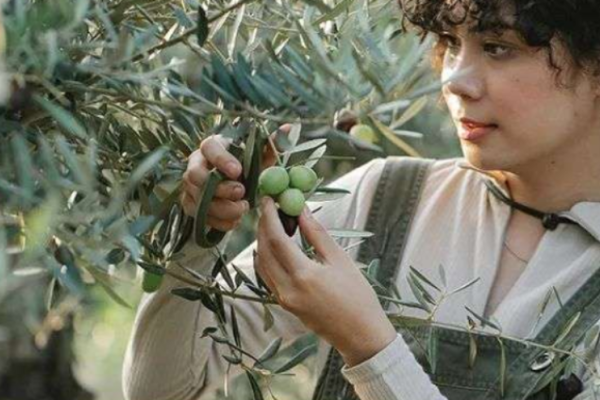 創(chuàng)業(yè),賣貨,互聯(lián)網(wǎng)