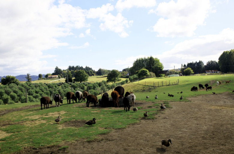 自動化服務(wù),農(nóng)業(yè),無人農(nóng)場,機(jī)器換人