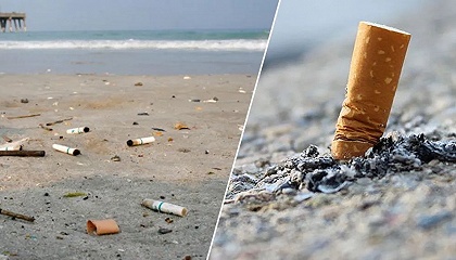 創(chuàng)業(yè)投資