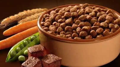 寵物經(jīng)濟,中國市場