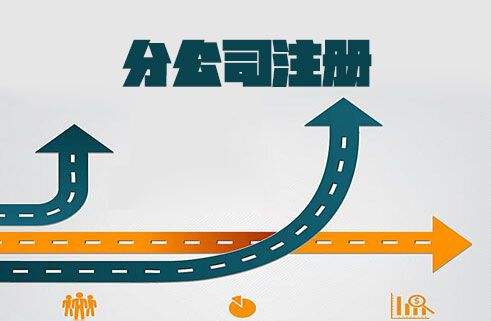 为什么一个公司要注册那么多分公司