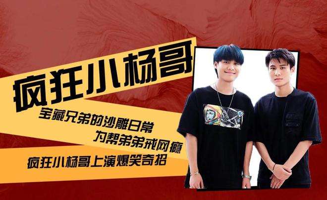 瘋狂小楊哥,小楊哥,合肥三只羊