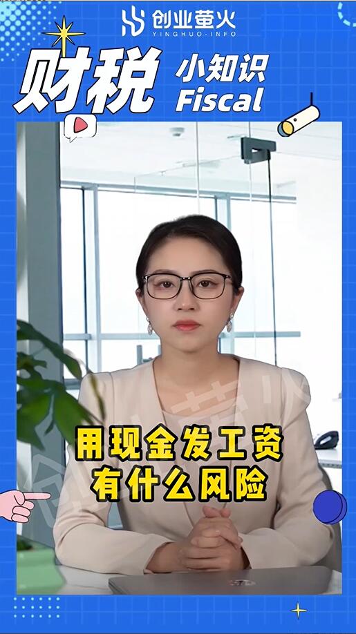 纳税,个人所得税,企业所得税